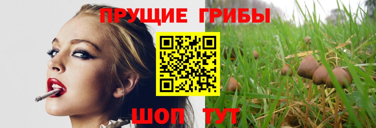 Гашиш Тимашёвск