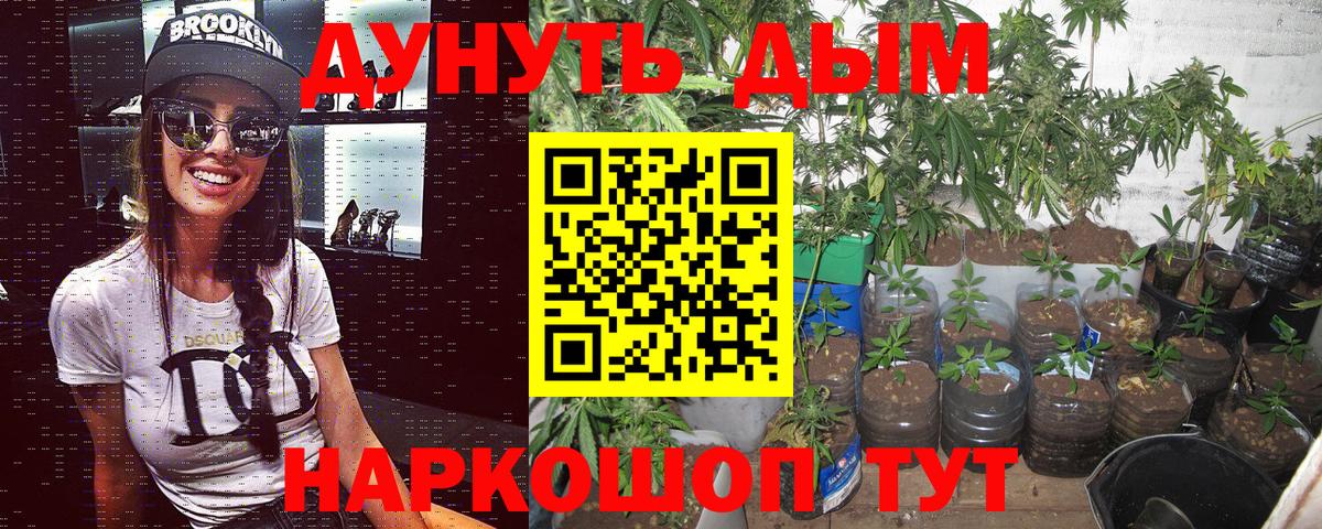 Конопля OG Kush  Бошки Шишки Amnesia  Тимашёвск  Конопля ГИДРОПОН  Каннабис семена  Вход с VPN 