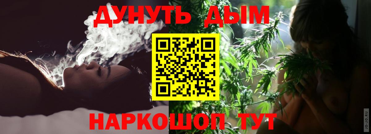 Бошки Шишки сатива Тимашёвск